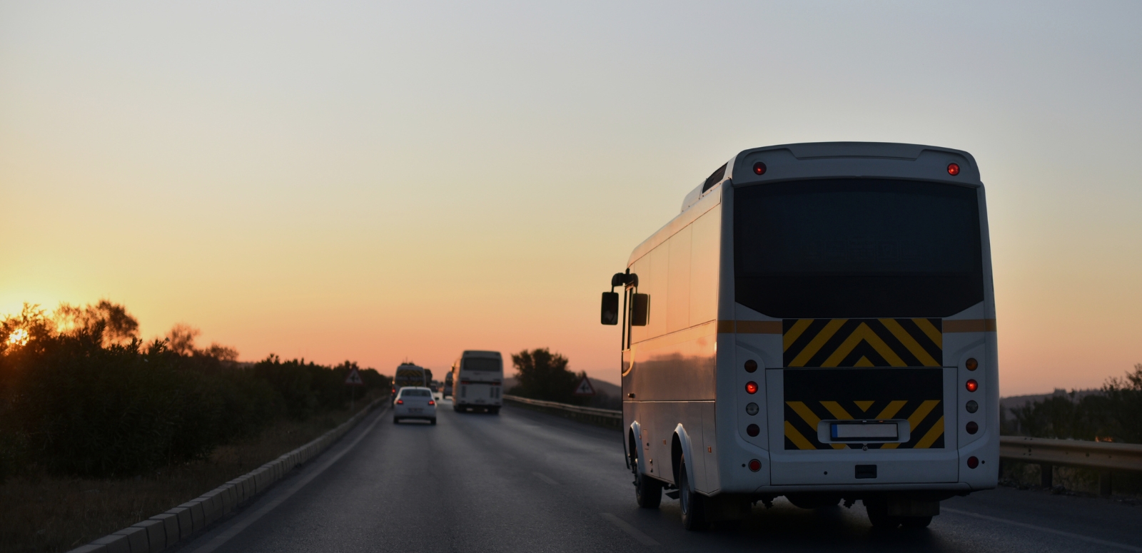 Kefalonia bus tours