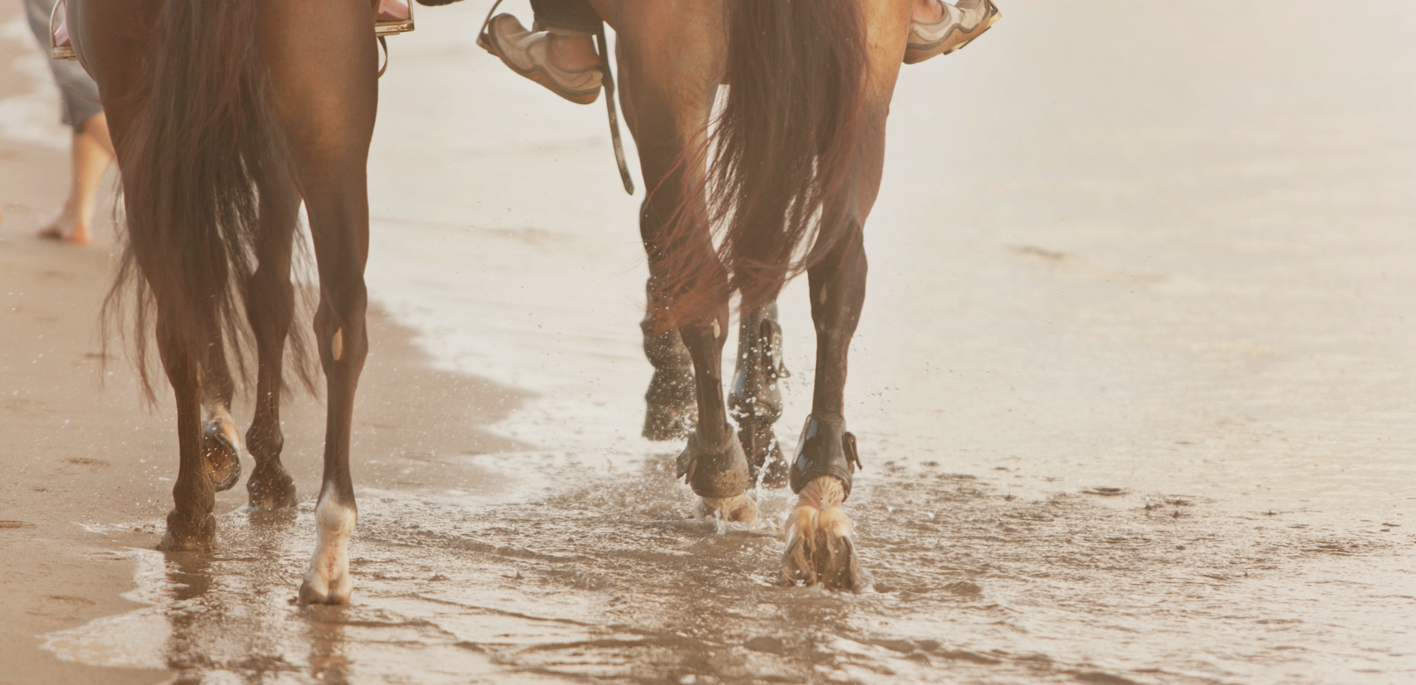 Kefalonia horse riding