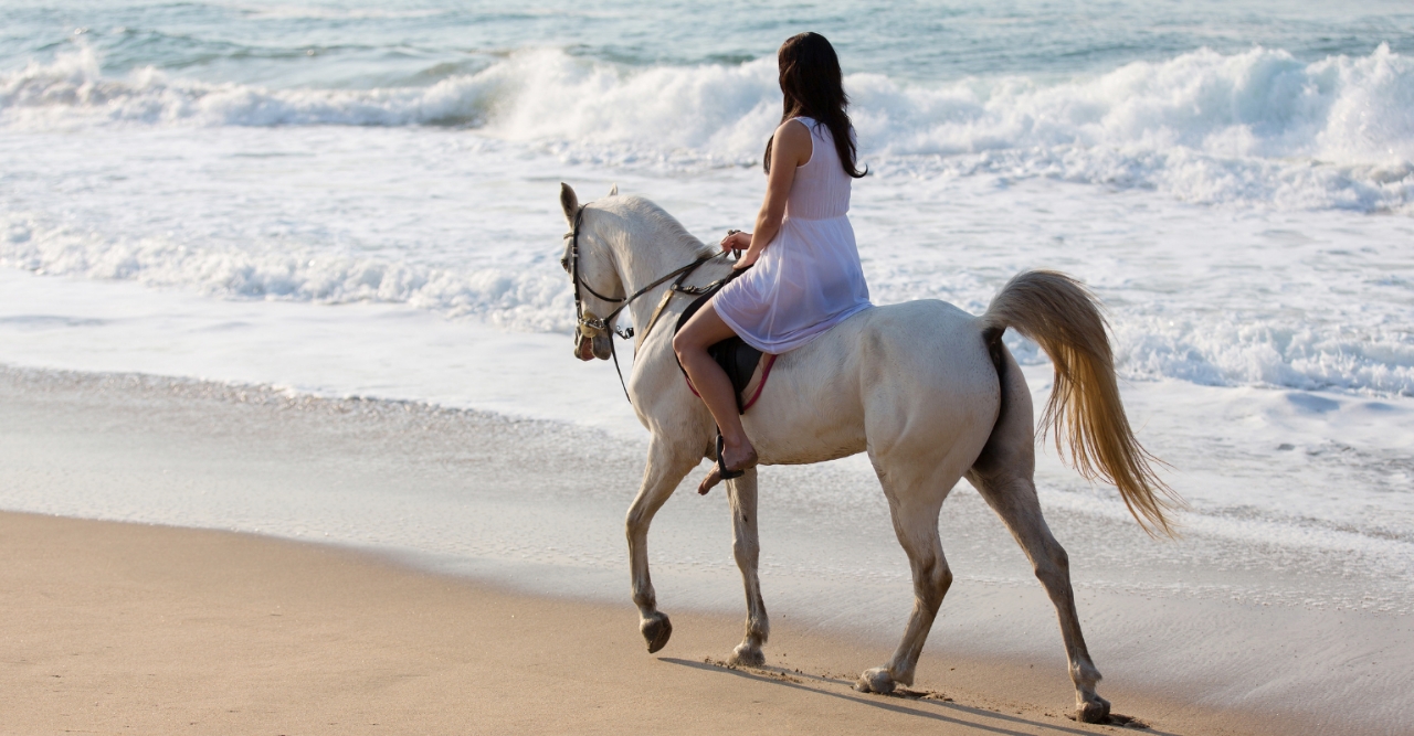 Kefalonia horse riding