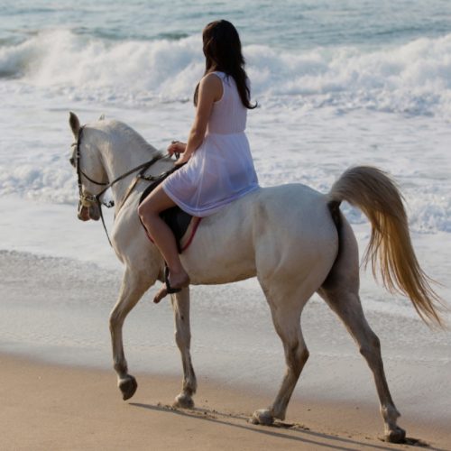 Kefalonia horse riding